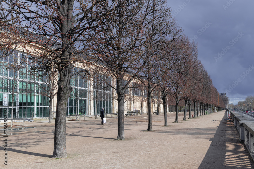Jardin des Tuileries in Paris