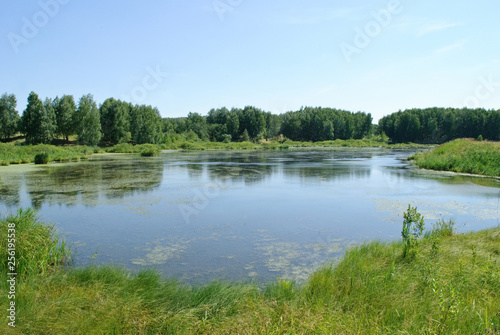 Fototapeta Naklejka Na Ścianę i Meble -  old pond, lake