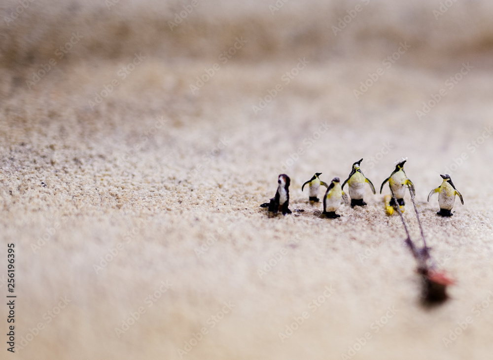 Fototapeta premium group of pinguins