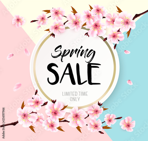 Spring sale background with a pink blooming sakura. Vector © ecco