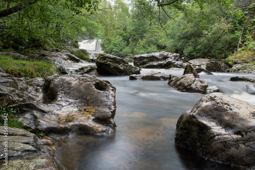 river in the forest
