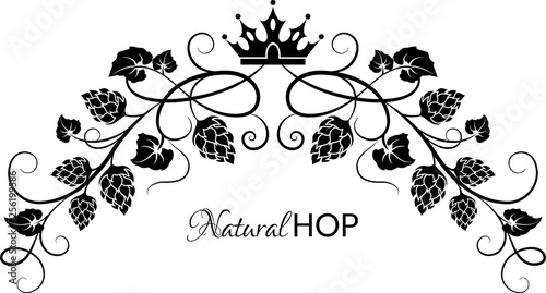 Black curly garland with hop branches,  leaves and crown. Hop cones. Design element for brewery, beer festival, bar, pub . Vector illustration. 