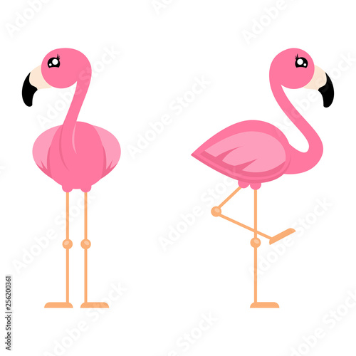 cartoon cute flamingo girl set from the front vector photo