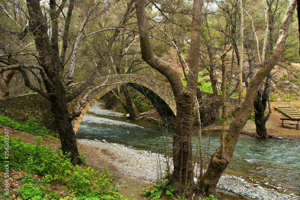 Fototapeta premium Kelefos Bridge (Medieval Bridge) Cyprus