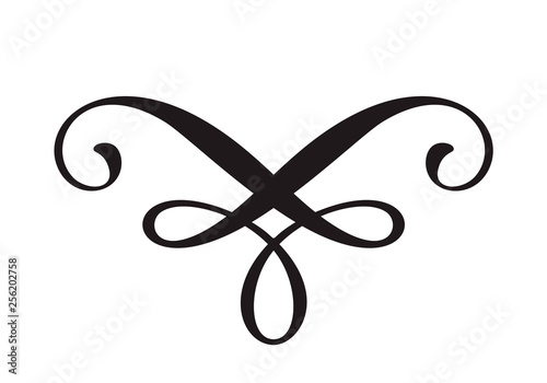 Vector floral calligraphy element flourish, divider for page decoration and frame design illustration swirl for text. Decorative silhouette for wedding cards and invitations. Vintage flower