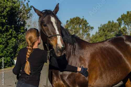 Fototapeta Naklejka Na Ścianę i Meble -  Horse Woman Exercise Outdoor  Sand Equestrian Arena Closeup Affection.