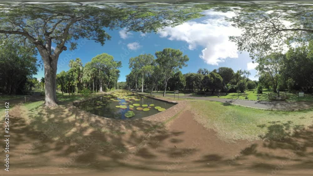 360 VR video. View to the park area with asphalt paths running among big green trees and large pond with lots of lily pads, Mauritius 360 VR video. View to the park area with asphalt paths running among big green trees and large pond with lots of lily pads, Mauritius