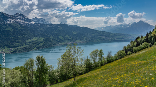 Switzerland, panoramic view on lake Thunersee and Alps from Beatenberg © AlehAlisevich