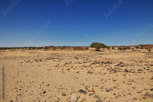 Ghazali monastery, Sudan photo