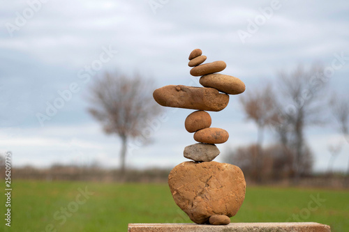 Fotomural Vineyards stacking