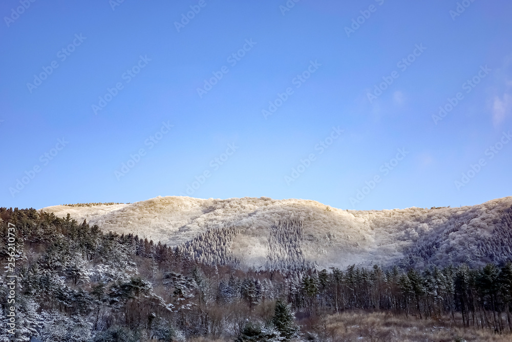 飯田高原 雪景色 飯田高原 雪景色