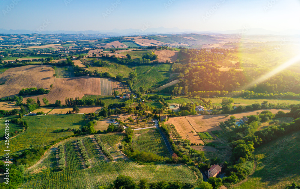 aerial view of agricultural green grassland and wheat fields landscape during summer at sunset