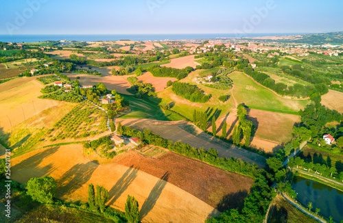 aerial view of countryside agricultural green grassland and wheat fields landscape during summer with a town and sea in the distance
