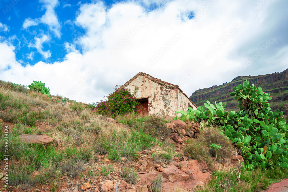Abandoned small house overgrown with cacti on mountain