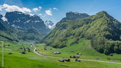 Switzerland  Green fields of Appenzell valley