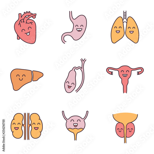 Smiling human internal organs color icons set