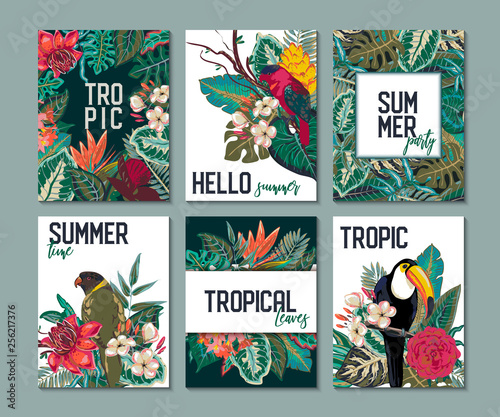 Vector collection with six cards, notes and banners with toucan, exotic flowers, plants and leaves.