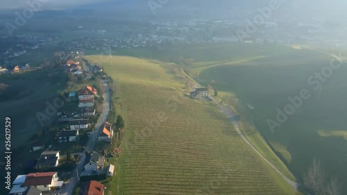 Aerial: Flying over hills filled with wine plantages at beautiful autumn sunset. Filming Slovenian wine making countryside with drone. photo