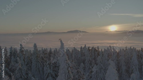 Wallpaper Mural Aerial drone view of sunrise in snowy mountains over clouds and white trees in winter  Torontodigital.ca