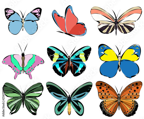 vector isolated  set of multicolored butterflies