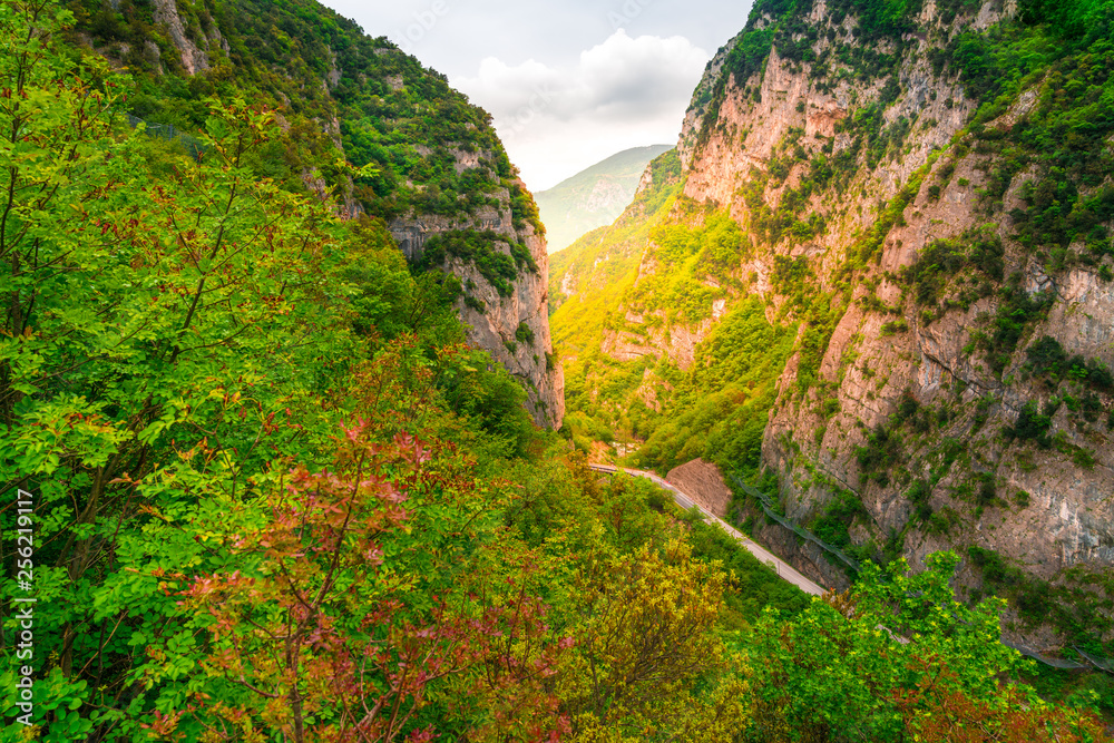 road between a mountain gorge located in the gola della rossa park