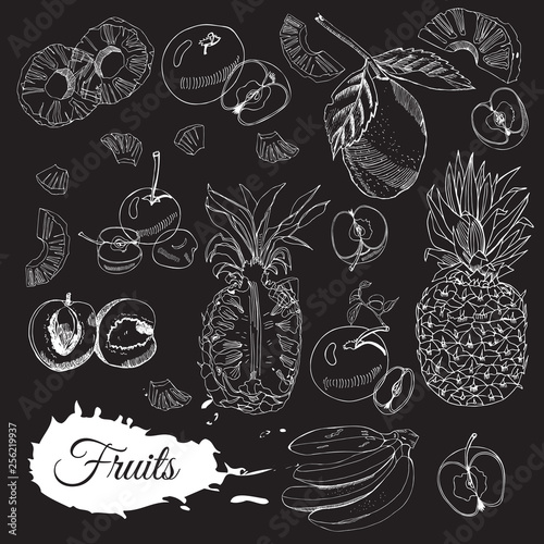 Collection of different fruits. White whole and sliced elemets  on black background. Hand drawn sketch.