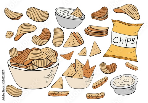 Vector potato chips collection isolated on white background