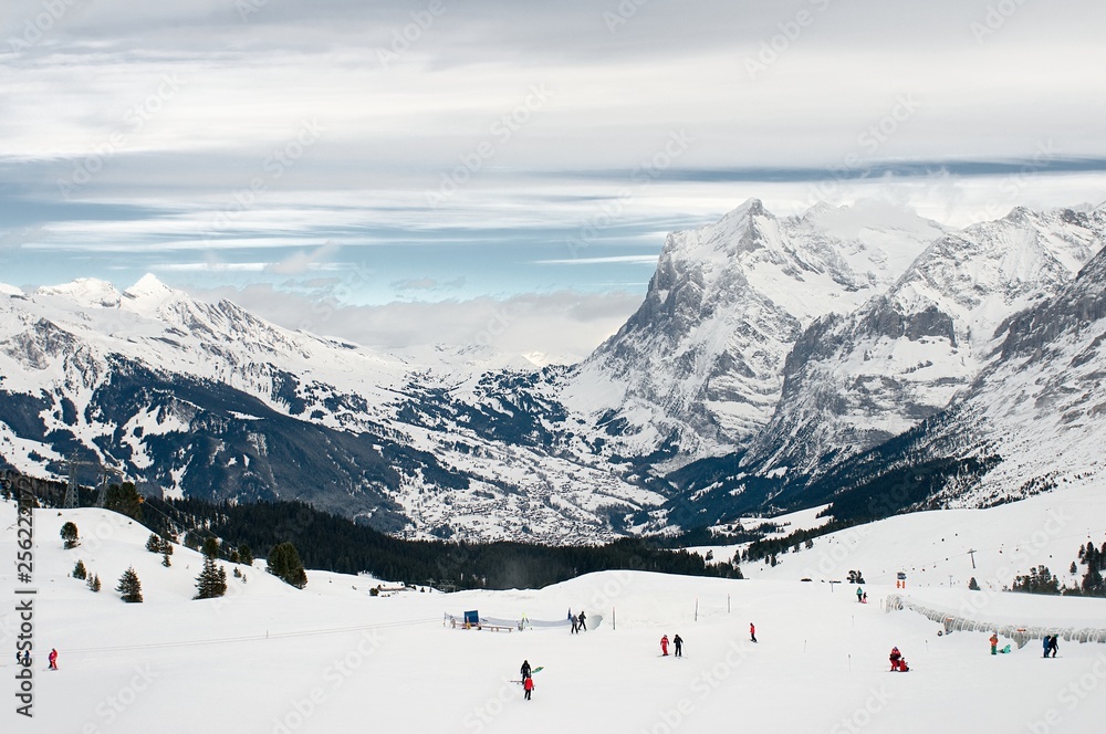 Naklejka premium Grindelwald Valley