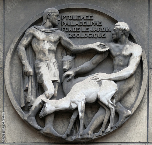 Ptolemy Philadelphe founds the zoo. Stone relief at the building of the Faculte de Medicine Paris, France  photo