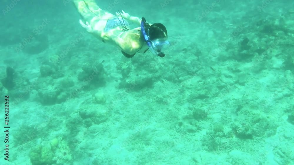 SLOW MOTION HOLIDAYS Young female tourist swimming underwater with strong dolphin kicks. Snorkelling in crystal clear water of the tropics, wearing mask and fins SLOW MOTION HOLIDAYS Young female tourist swimming underwater with strong dolphin kicks. Snorkelling in crystal clear water of the tropics, wearing mask and fins