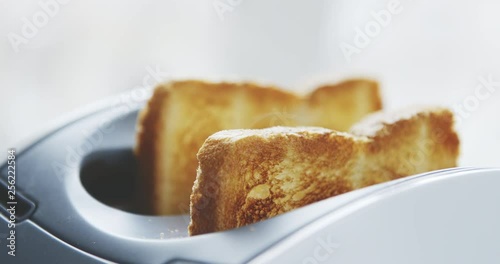 Slow motion shot of roasted toast bread popping up from toaster photo