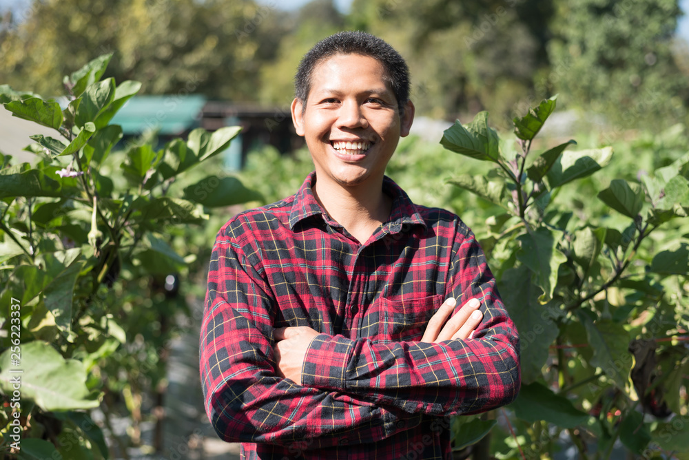 Asian farmer smiling and arms crossed in organic eggplant vegetable garden