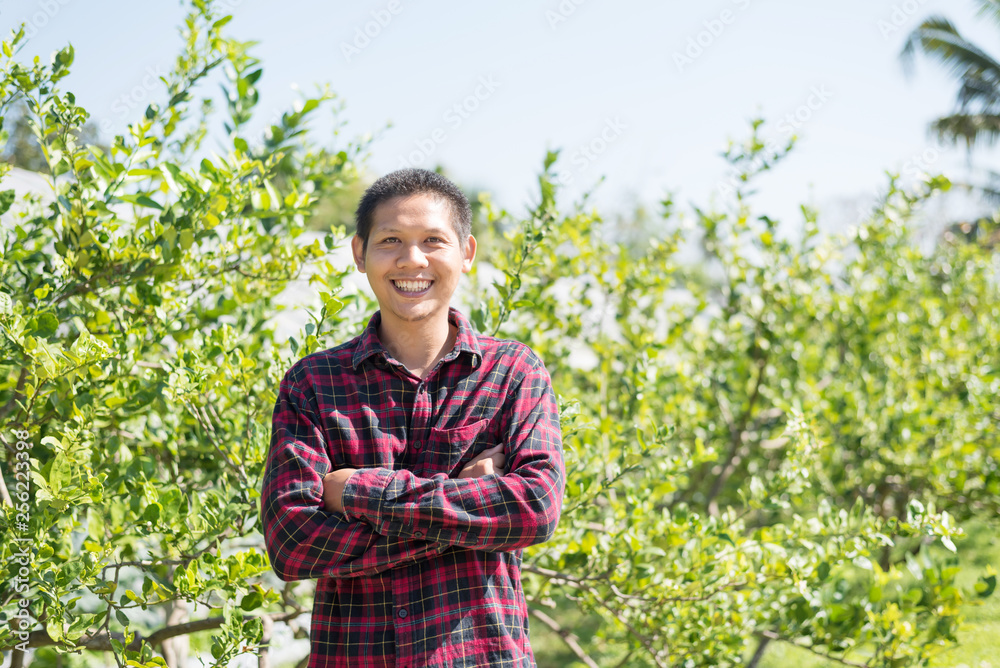 Asian farmer smiling and arms crossed in organic lime fruit garden Asian farmer smiling and arms crossed in organic lime fruit garden