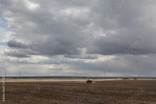 Agriculture, tractor plow field in spring
