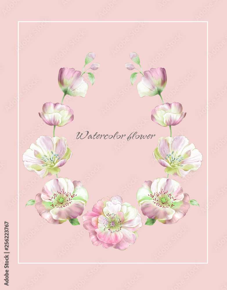 Colorful flower on white background,Big Set watercolor elements