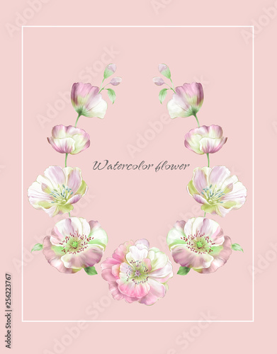Colorful flower on white background Big Set watercolor elements