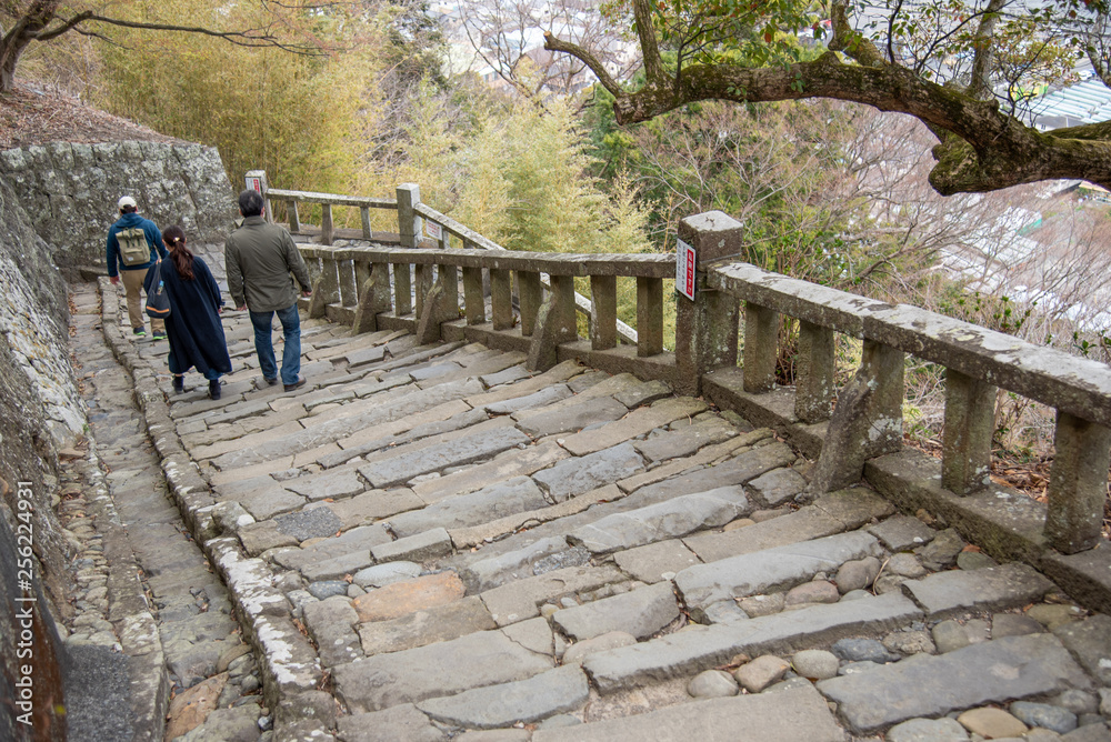 Fototapeta premium 石垣