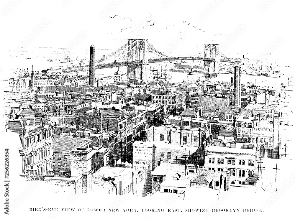 New York city. Engraving illustration