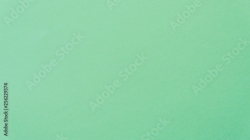 Coloured paper texture for background. Neo mint