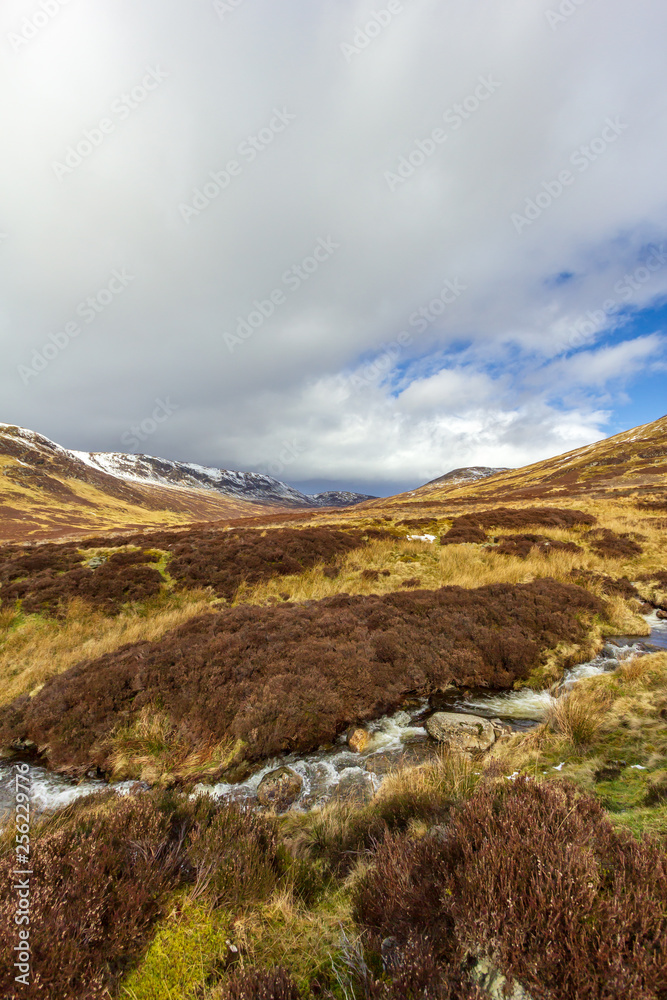 A mountain stream in a grassy valley under a majestic blue sky and white clouds