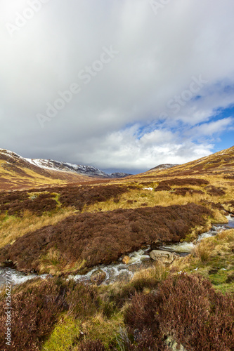 A mountain stream in a grassy valley under a majestic blue sky and white clouds