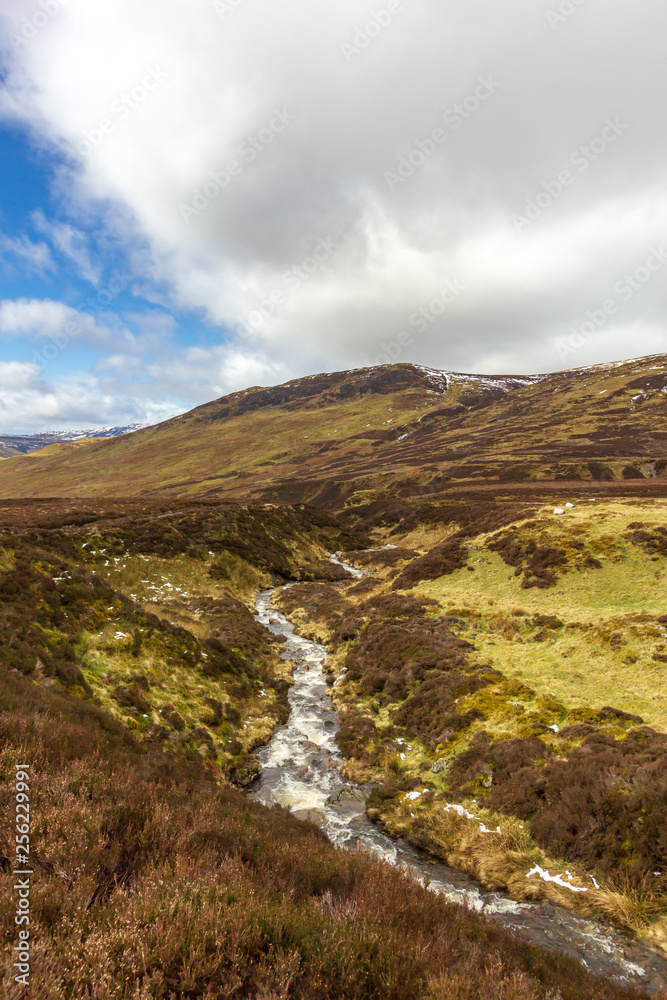 A mountain stream in a grassy valley under a majestic blue sky and white clouds A mountain stream in a grassy valley under a majestic blue sky and white clouds