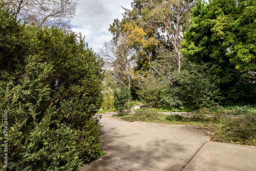 Naklejka premium part of a garden with your promenade.jpg