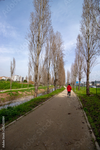 training in the garden on a winter day in Odivelas.jpg photo