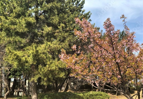 park