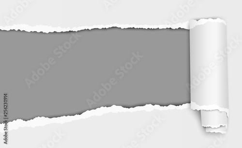 Oblong torn hole in white sheet of paper with shadow and paper curl. Dark gray of resulting background. Vector paper mock up.