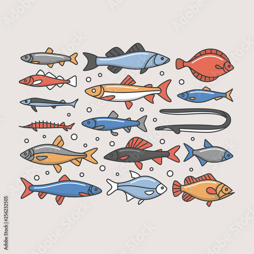 Fishes, vector illustration