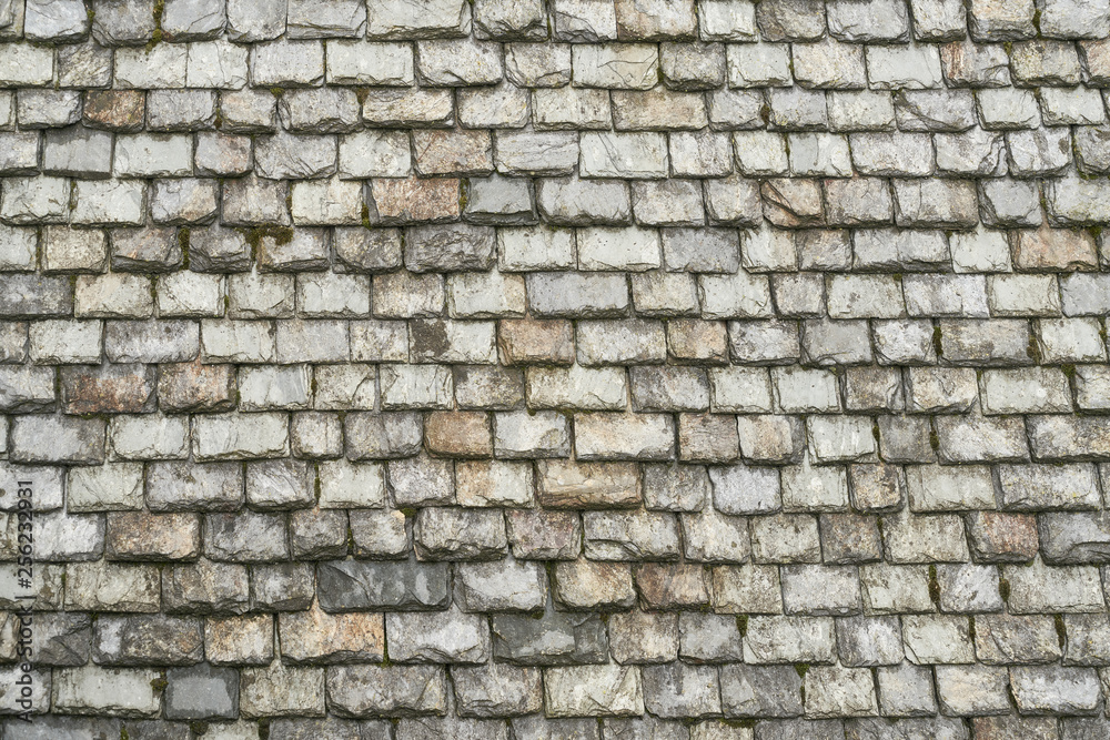 Roof of many old slate stones Roof of many old slate stones