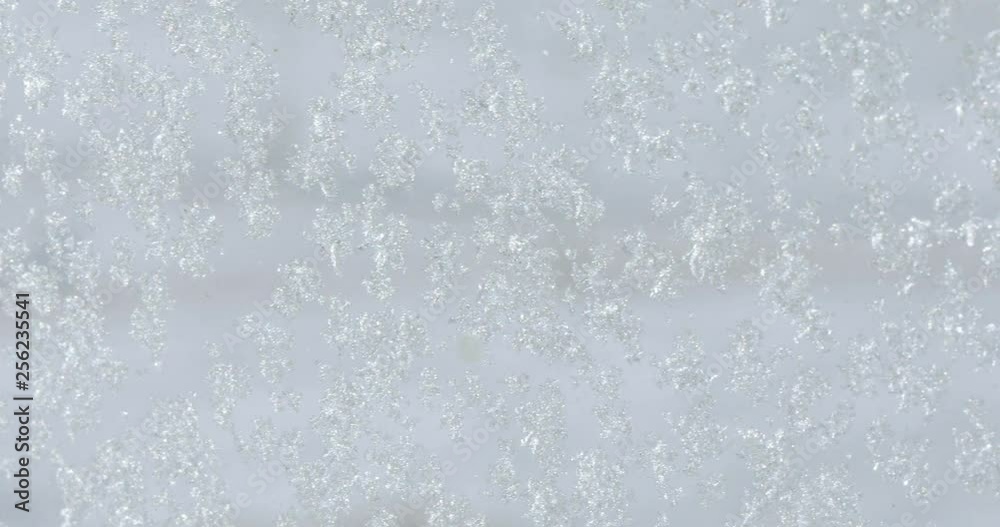 Snowflakes on the glass Snowflakes on the glass