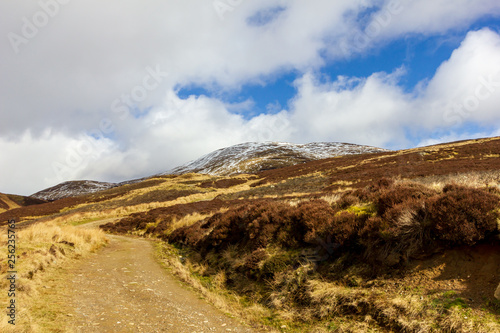 A mountain view with grassy slope  snowy summits and path under a majestic blue sky and white clouds